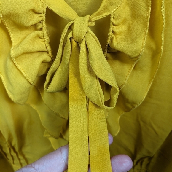 Eloquii Chiffon Ruffle Front Sleeveless Top Sz 18 - Picture 7 of 10